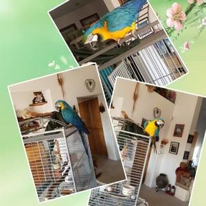 Meet your Posher, Stacey